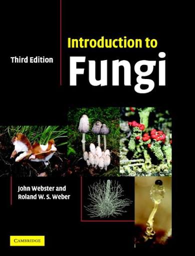 Introduction To Fungi